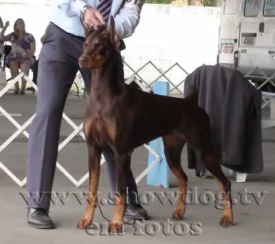 Clique sobre a foto para fechar